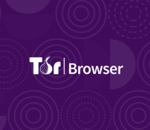Tor sort son navigateur mobile officiel en version alpha